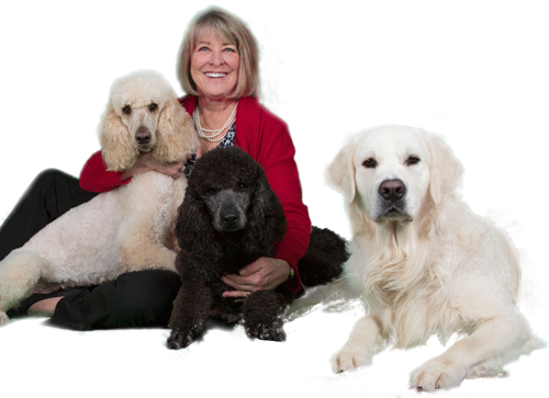 Photo of Mary and Dogs