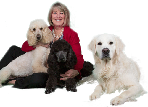 Photo of Mary and Dogs Photo of Mary and Dogs